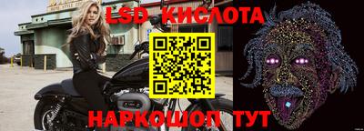 индика Ставрополь