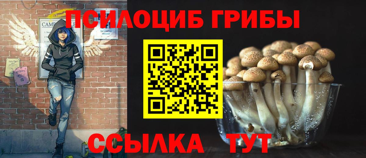 Псилоцибиновые грибы Magic Shrooms Орехово-Зуево